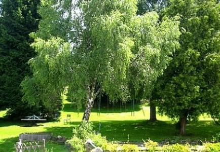 Hotel La Clairiere Chambon-sur-Dolore Buitenkant foto